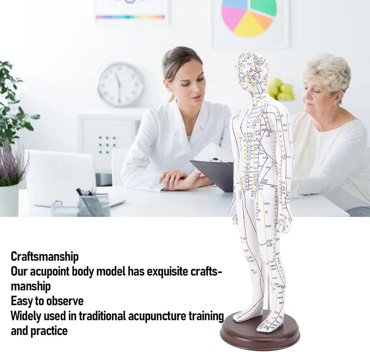 Acupuncture Model, 52Cm PVC Human Body Model with Accurate Acupoint Positioning and Sturdy Base, with Manual for Traditional Acupuncture Training and Practice (Women Type)