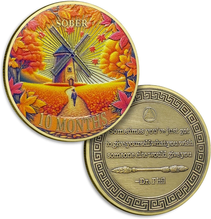8 Months Sobriety Coin Eight Months Sober Coins August AA Chips and Medallion Sun Chip Alcoholics Anonymous Coin Recovery Anniversary Token Sobriety Gifts for Women Men
