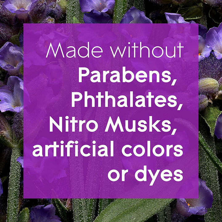 Aromatherapy Reed Diffuser,� Home Decor Essential Oils Diffuser Calming Fragrance, Moment of Zen with French Lavender & Australian Sandalwood, 80 Ml