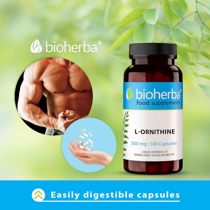 L-Ornithine 300 Mg – 300 Capsules | Pure Amino Acid Supplement for Active Nutrition by