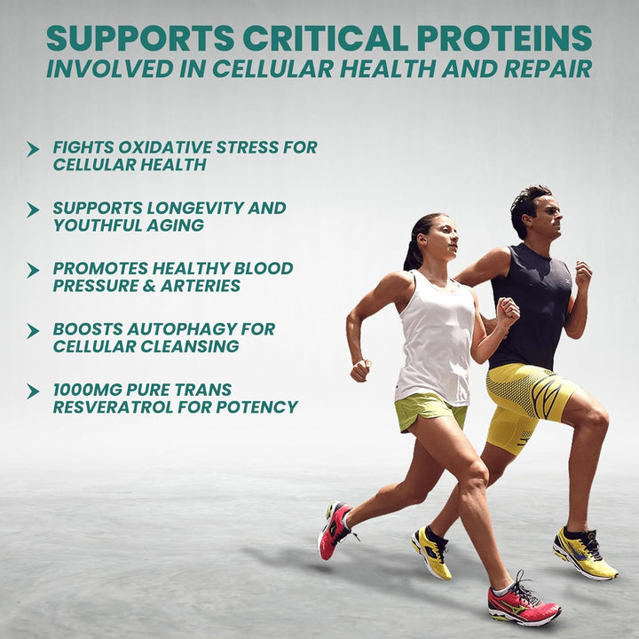 Vinco Resveratrol 1000Mg, 60 Capsules - 100% Pure Trans-Resveratrol Supplement for Cellular Health and Cardiovascular Wellness - Non-Gmo & Gluten Free - Made in the UK