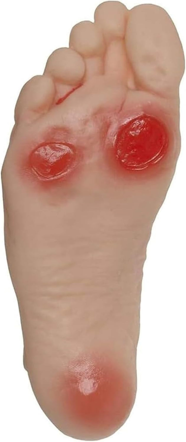Diabetic Foot Model, Geriatric Nursing Model - Contains 3 Ulcers, for Patient Education and Student Training