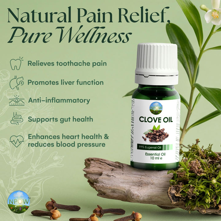 Clove Oil for Toothache Pain Relief for Adult – Oil of Cloves for Toothache Natural Dental Solution, Clove Bud Oils, Cloves Extract for Oral Care, Tooth Pain Relief and Dental Health - 10Ml