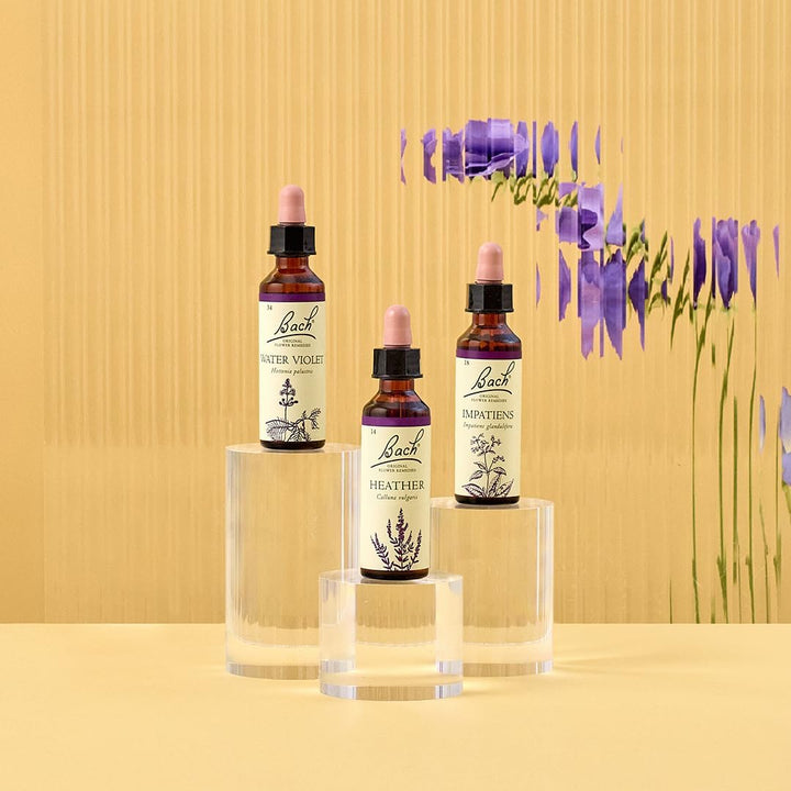 Original Flower Remedies (Impatiens) Reach Out to Others, Remain Patient, Emotional Wellness, Natural Flower Essence, 20Ml