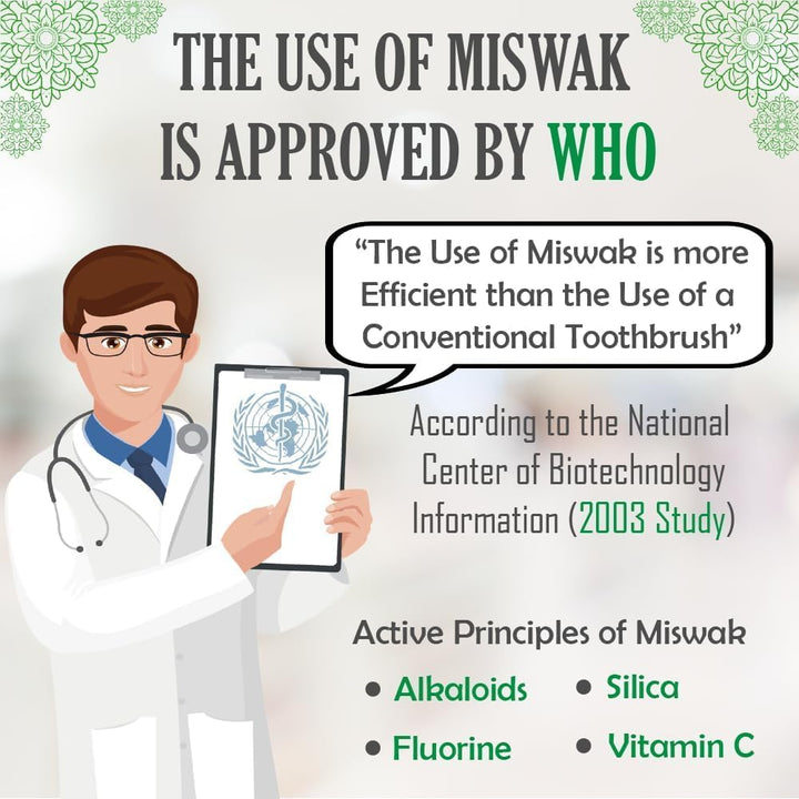 Miswak Sticks for Teeth Miswak Toothbrush Salvadora Persica Sticks El Miswak Sewak Sticks for Teeth Palo De Miswak African Teeth Cleaning Sticks Jamaican Chew Sticks (Pack of 3) مسواك طبيعي