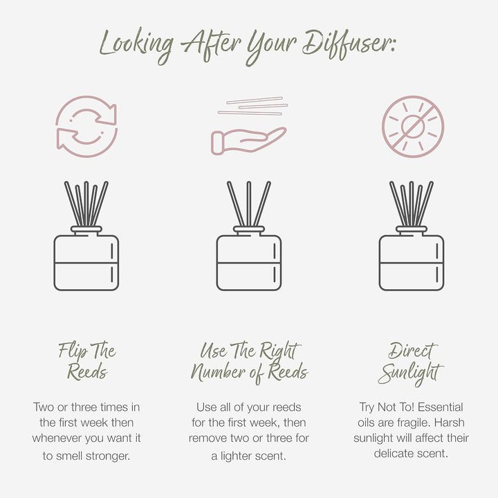 Reed Diffuser - Lemongrass & Rosemary Scent | Essential Oil Aroma for Home | 100 Ml