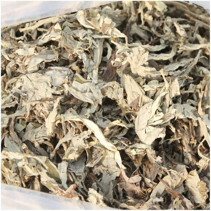 Moxa Stick Smokeless, Moxa Sticks Moxa Sticks Home Smoked Wormwood Sticks Handmade Pure Moxa Sticks