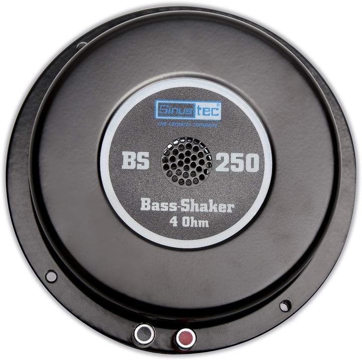 14019 BS 250 Noise Generator 4 Ohm, Black