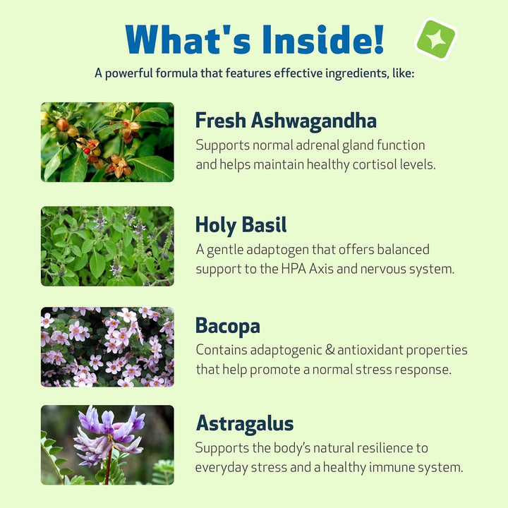 - Adrenal Harmony Gold for Dogs- Natural Support for Adrenal Dysfunction and Cushing'S - 2 Ounce (59 Milliliter)