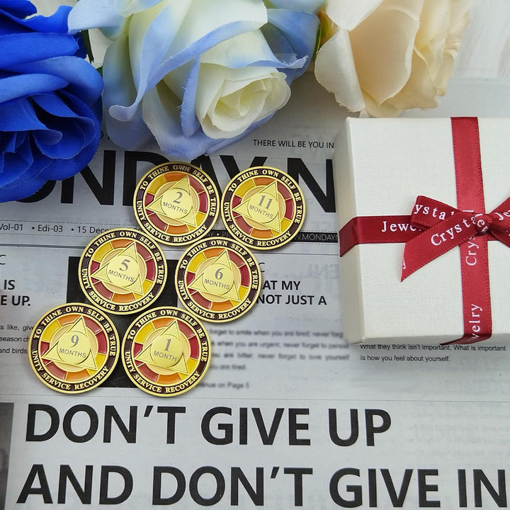 24 Hour Sobriety Chips, Tri-Plate 24Hr Sobriety Coin - One Day AA Medallion Recovery Chips Sober Coins for Narcotics Alcoholics Anonymous Recovery Sober Gifts for Men/Women