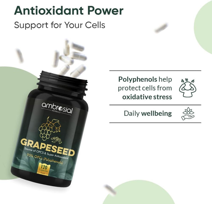 Grape Seed Extract Capsules 400 Mg– 95% OPC Polyphenols – (4 Months Supply) - Premium Antioxidant Support – Vegan, Non-Gmo, Gluten-Free – GMP Certified – 120 Capsules