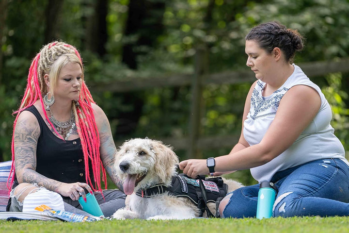 Oral Rehydration Salts, Grape, 6 Pk (Yields 500Ml per Pack)