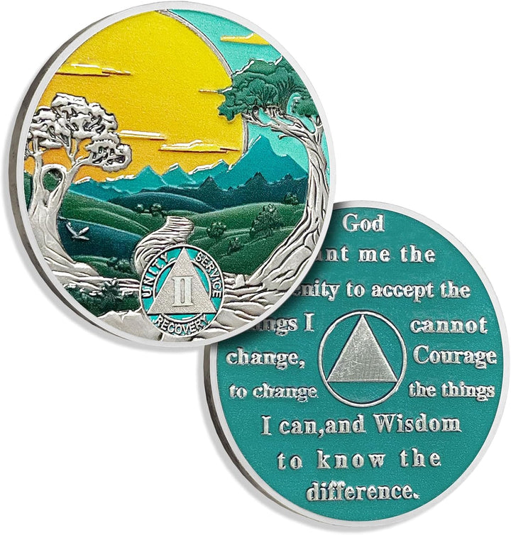 17 Years Sobriety Coin Sun Chips Alcoholics Anonymous Medallion AA Chips and Medallion Sobriety Gifts for Men Women Anniversary Token Recovery Gift Forest Tree Coin