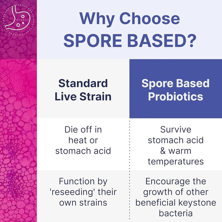 Restorflora 21 – Vegan Probiotic Supplement with Saccharomyces Boulardii and Bacillus Spores – Gut Health and Digestive Support – Yeast & Spore Probiotics for Men & Women, 21 Capsules