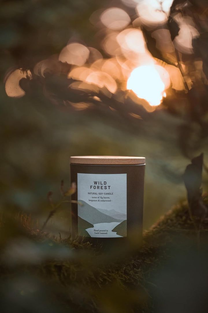 Wild Forest - Organic & Vegan, Luxury Scented Soy Wax Candles. Hand Poured in Loch Lomond, Scotland |  Limited (+8 Scent Options, X2 Sizes) 450G