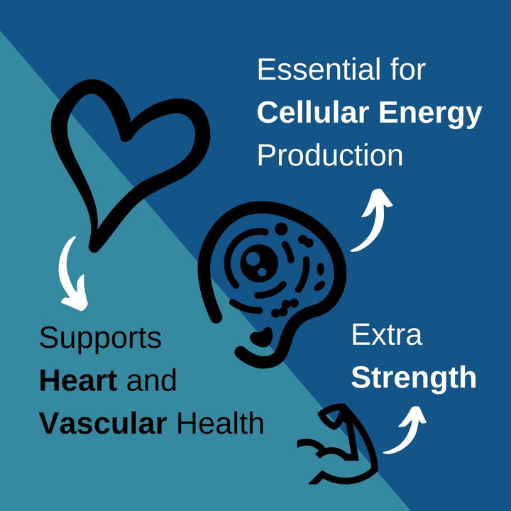 Coq10 400Mg - Highest Strength Ubiquinone Coenzyme Q10 | Powerful Antioxidant for Heart and Vascular Health, Essential for Energy Production | 60 Capsules - 2 Month Supply | Made in the UK