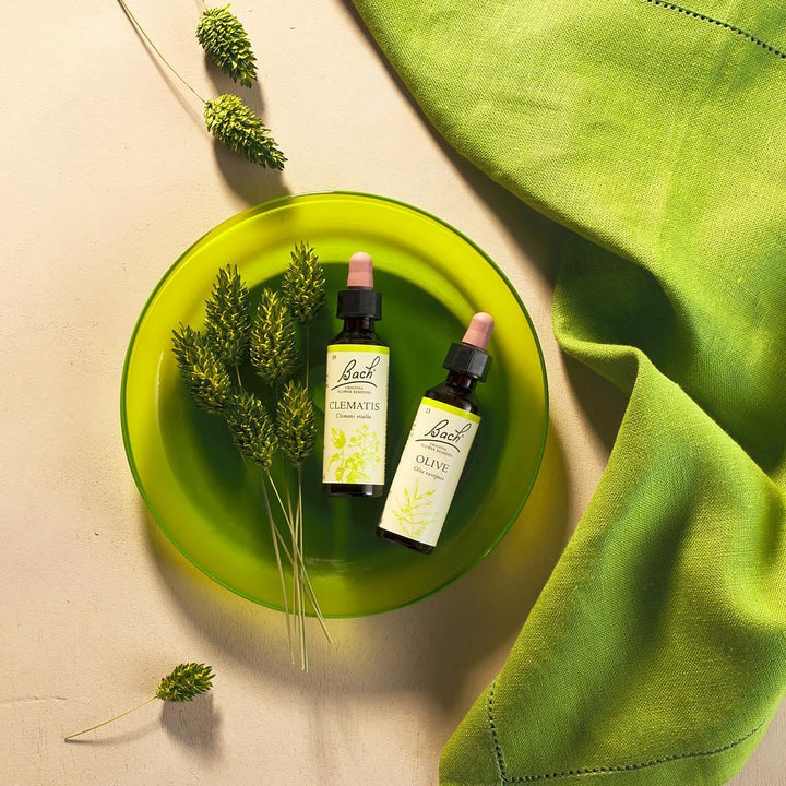 Bach Original Flower Remedies (Clematis) Live the Day, Be Focused, Emotional Wellness, Natural Flower Essence, 20Ml
