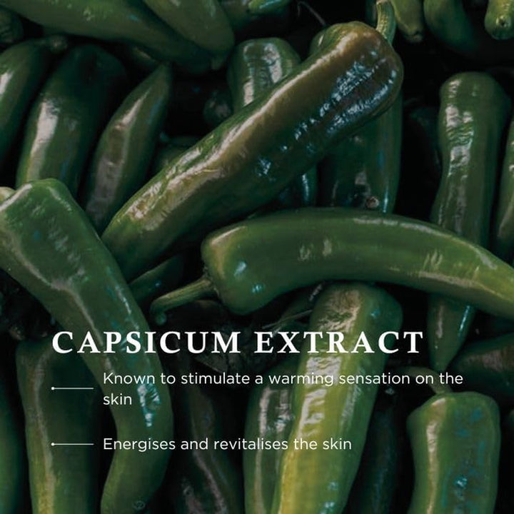 Pine Bath Essence - Invigorating and Relaxing Bath Additive with Essential Oils of Pine Needles and Capsicum for Muscle Soothing Relaxing Bath Time, 500Ml