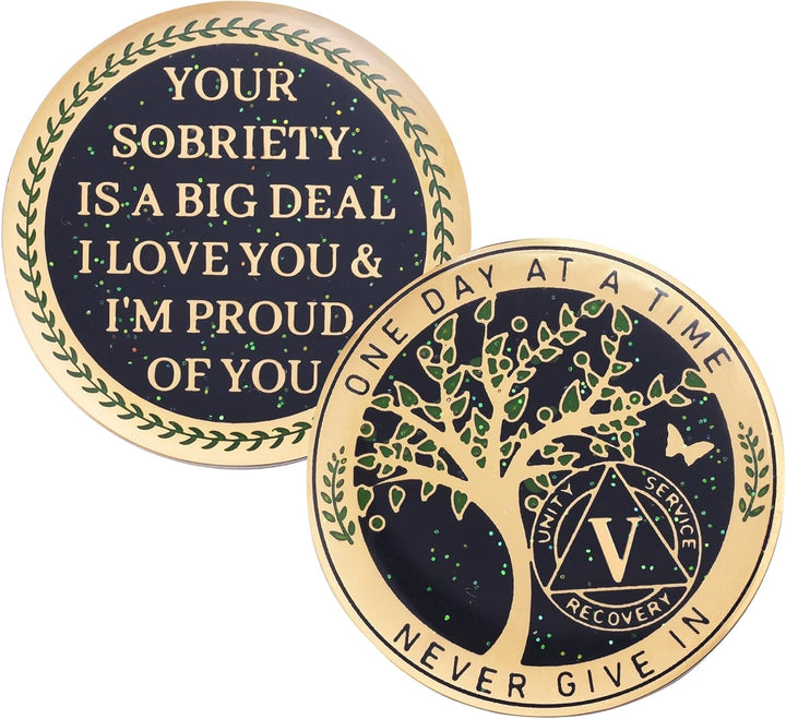 24 Hours, 1/2 Yearsobriety Chip, Tree of Life Recovery Coin, AA Recovery Medallion, Anniversary Token Sobriety Gifts, Alcoholics Anonymous Medallion (1 Year)