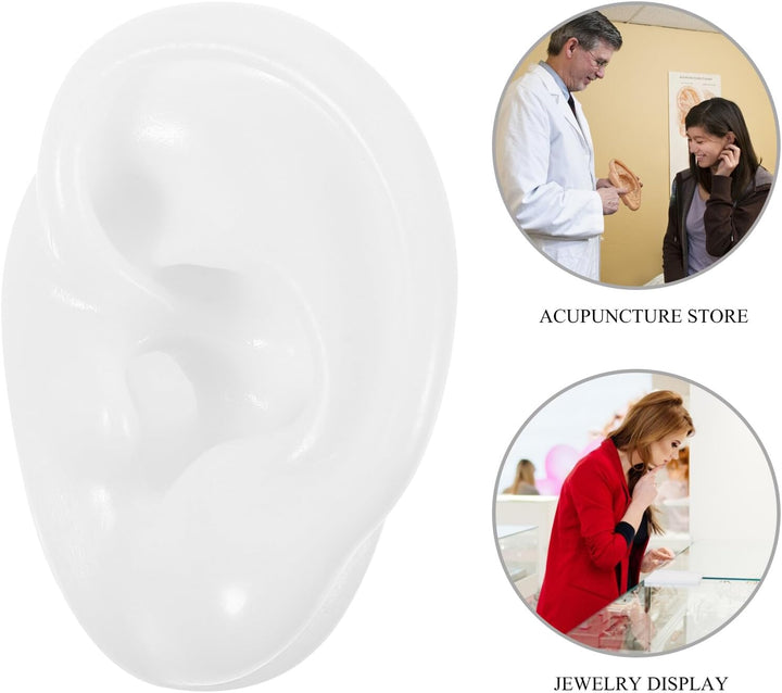 Silicone Artificial Ear Display Models for Hearing Aid Practice and Acupuncture Training Realistic Ear Shape Molds for Jewelry and Piercing Practice White