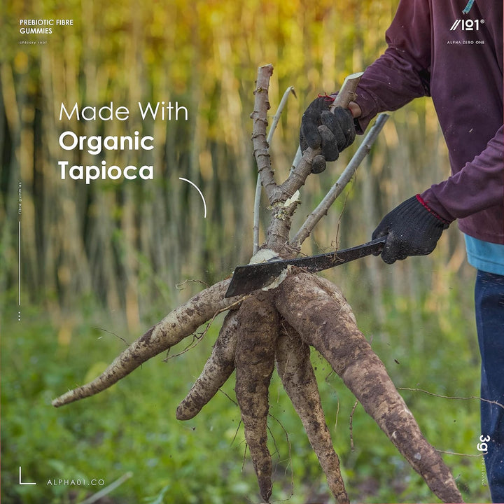 Prebiotic Fibre Gummies 3G - 60 Vegan Gummies - Chicory Root Inulin, Blackberry, Strawberry & Peach Flavour (30 Day Supply) by