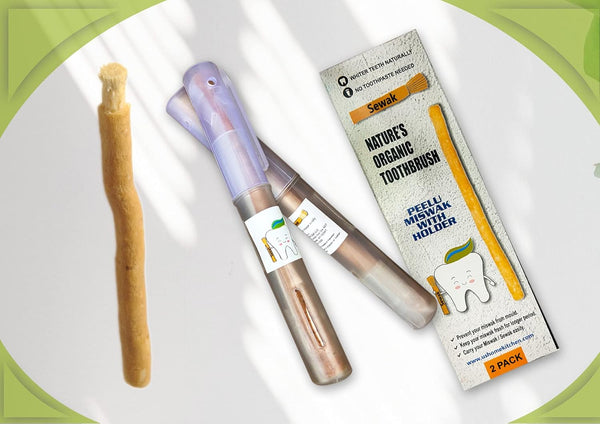 Miswak Stick |  Natural Toothbrush Sticks | Chewable for Teeth Cleaning | Siwak | Meswak | Salvadora Persica Stick | with Holder (2 Units)