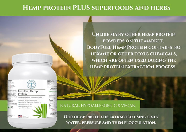 Bodyfuel Hemp Protein Powder plus 14 Superfoods & Phytonutrients – Spirulina, Chlorella, Acai Berry, Alfalfa - Non-Gmo Vegan Plant Protein Powder 500G