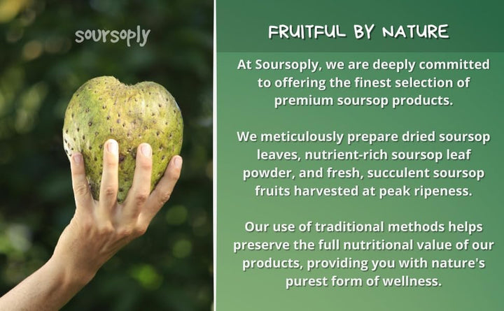 – Premium Dried Soursop Leaves (100G) | Whole Dried | No Additives | Vegan