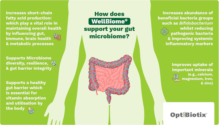 Prebiotic Fibre Complex for Gut Health by  – Probiotic Support, Digestive Wellness, Immune System Support – Magnesium for Anxiety, Mood & Energy – 30 Servings