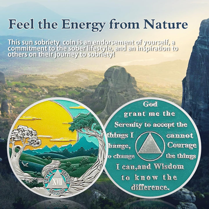 17 Years Sobriety Coin Sun Chips Alcoholics Anonymous Medallion AA Chips and Medallion Sobriety Gifts for Men Women Anniversary Token Recovery Gift Forest Tree Coin