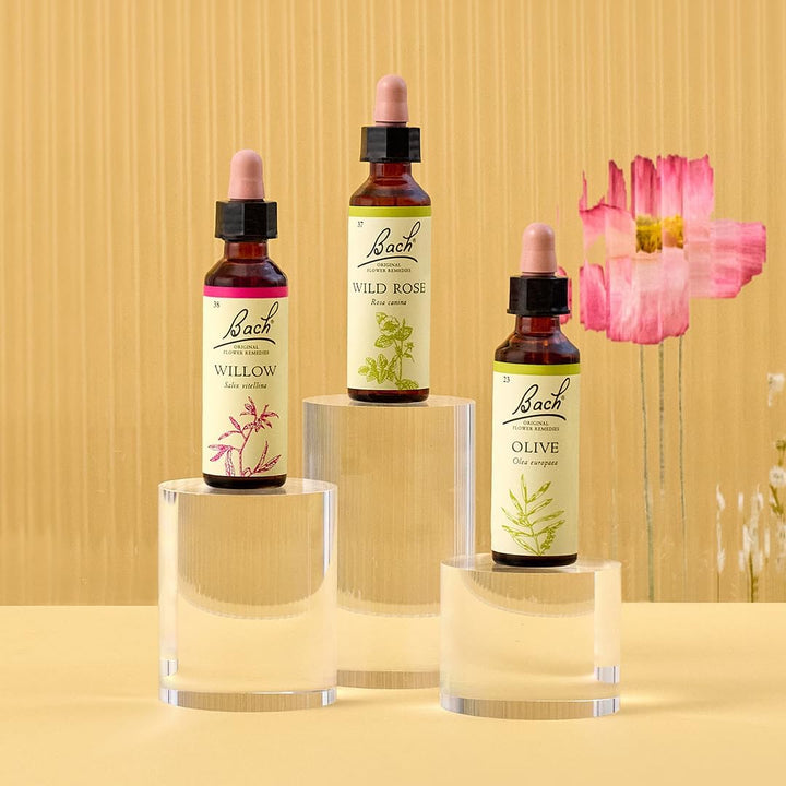 Bach Original Flower Remedies (Olive) Live the Day, Stay Energised, Emotional Wellness, Natural Flower Essence, 20Ml