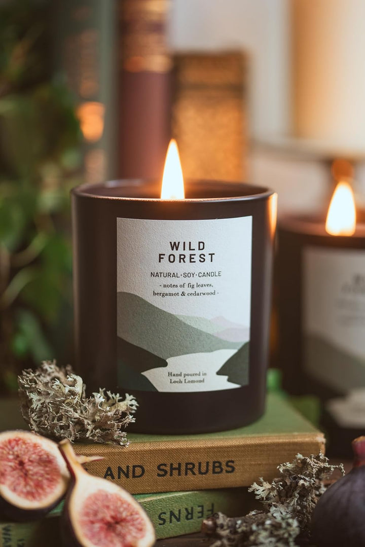 Wild Forest - Organic & Vegan, Luxury Scented Soy Wax Candles. Hand Poured in Loch Lomond, Scotland |  Limited (+8 Scent Options, X2 Sizes) 450G