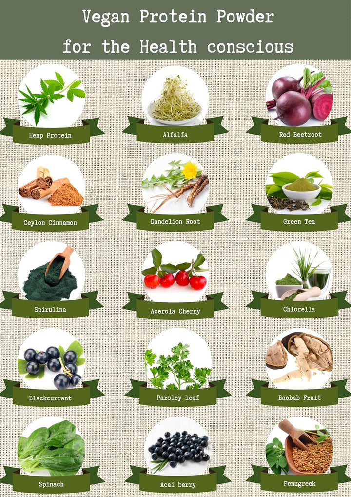 Bodyfuel Hemp Protein Powder plus 14 Superfoods & Phytonutrients – Spirulina, Chlorella, Acai Berry, Alfalfa - Non-Gmo Vegan Plant Protein Powder 500G