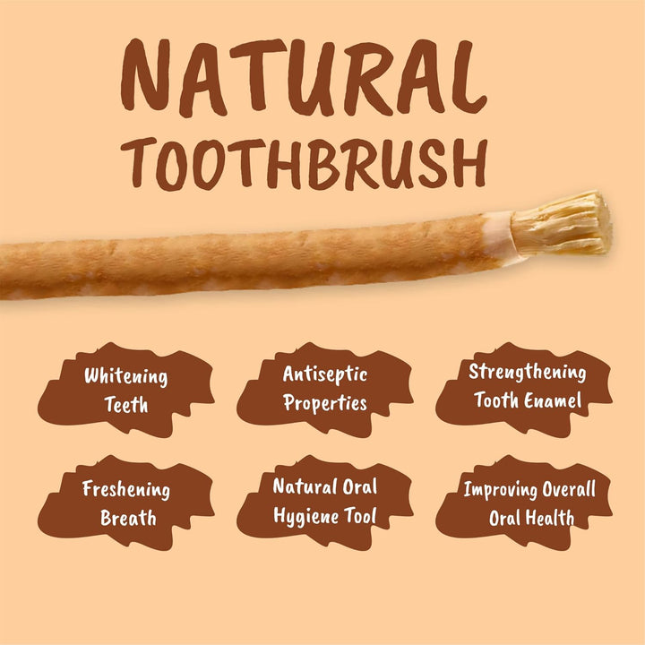 Miswak Sticks for Teeth Cleaning – Natural Siwak Toothbrush, Pack of 3 Miswak Stick with 3 Holders