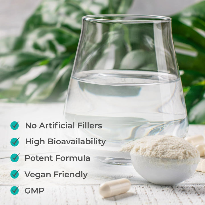 NAC Supplement, 600Mg - 90 N-Acetyl-Cysteine Capsules- Vegan Friendly Amino Acid and Glutathione Precursor for Nutritional Balance