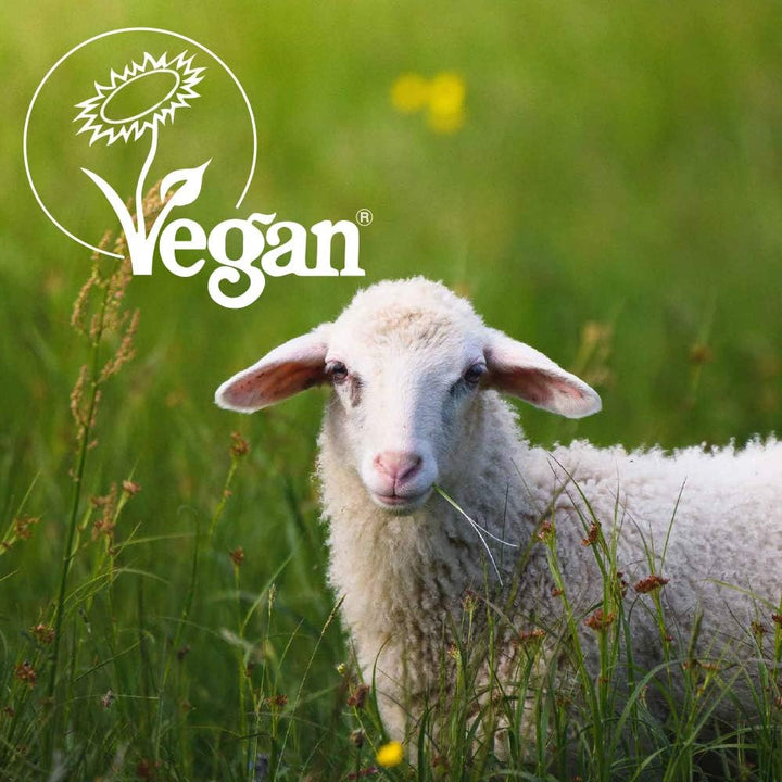 ® Colloidal Oat Cream 500Ml Pump – Paraffin Free, Vegan, 2-In-1 Moisturiser and Soap Substitute for Dry Skin, Eczema, Dermatitis and Psoriasis