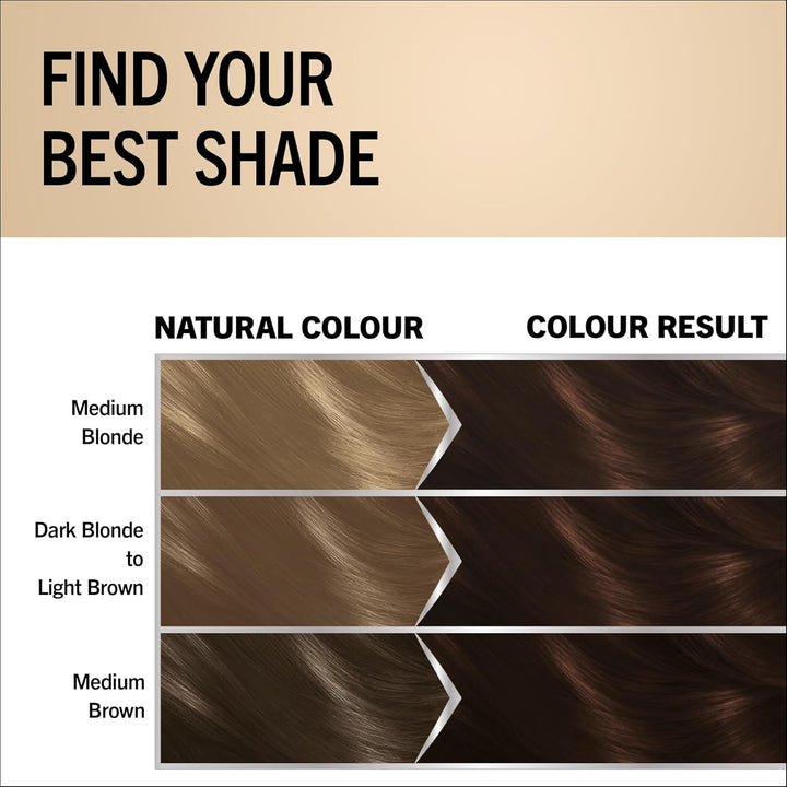 Oleo Intense Permanent Oil Colour 4-86 Chocolate Brown, 100% Grey Coverage, Conditioner with Haptiq System, Long-Lasting Colour, Ammonia Free Hair Dye