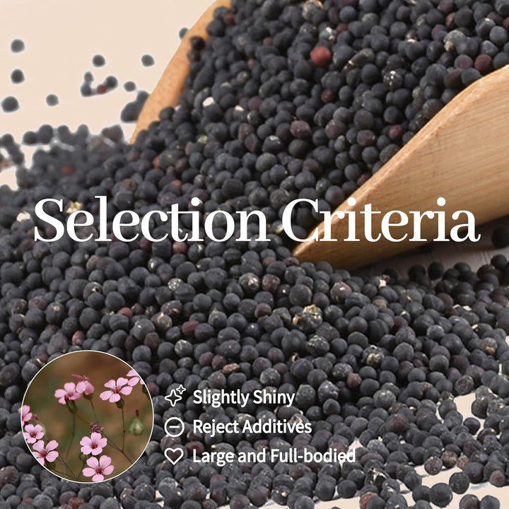 Multi-Condition Ear Seeds Acupuncture Kit, with Acupuncture Ear Press Seeds 1200Pcs, Acupuncture Pen, Acupressure Ear Chart, Tweezers