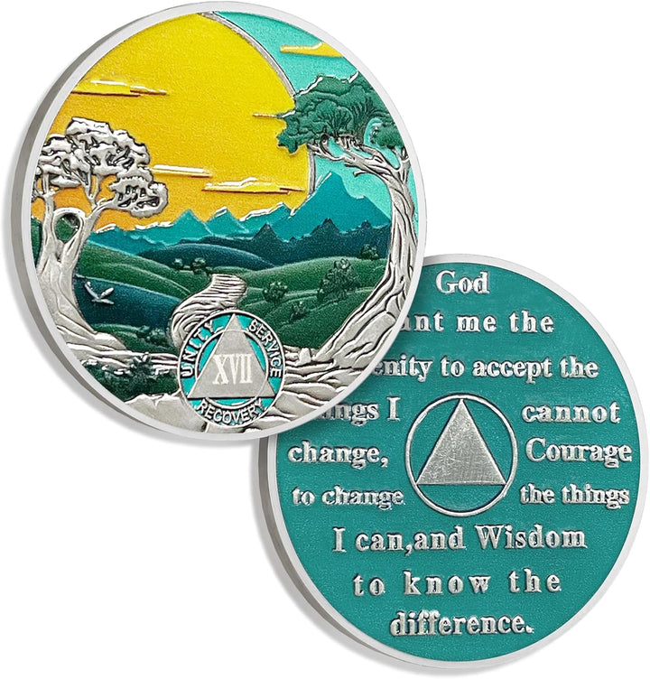 17 Years Sobriety Coin Sun Chips Alcoholics Anonymous Medallion AA Chips and Medallion Sobriety Gifts for Men Women Anniversary Token Recovery Gift Forest Tree Coin
