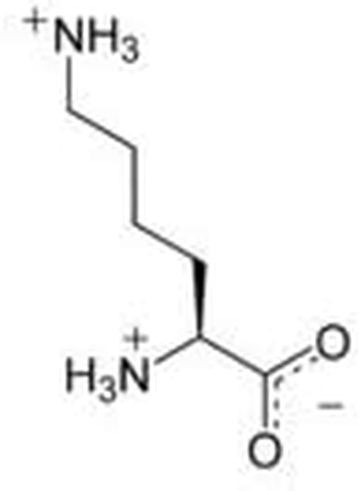 L-Lysine Powder 500G Pharmaceutical Grade (Additive Free)