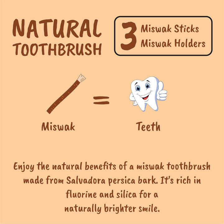 Miswak Sticks for Teeth Cleaning – Natural Siwak Toothbrush, Pack of 3 Miswak Stick with 3 Holders