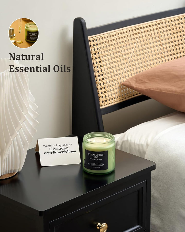 Eucalyptus Mint Soy Candles for Home Scented, 330G 70 Hour Burn Aromatherapy Candle Gift for Stress Relief, Meditation, Yoga, Relaxing SPA, Reusable Jar Candles for Men and Women