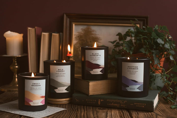 Wild Forest - Organic & Vegan, Luxury Scented Soy Wax Candles. Hand Poured in Loch Lomond, Scotland |  Limited (+8 Scent Options, X2 Sizes) 450G