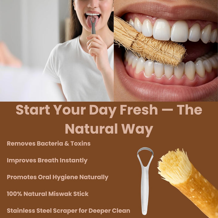 Miswak Stick Oral Care Kit – 2 Miswak with 2 Holders & 1 Stainless Steel Tongue Scraper | Tongue Cleaner for Adults | Eco-Friendly Fresh Breath Support