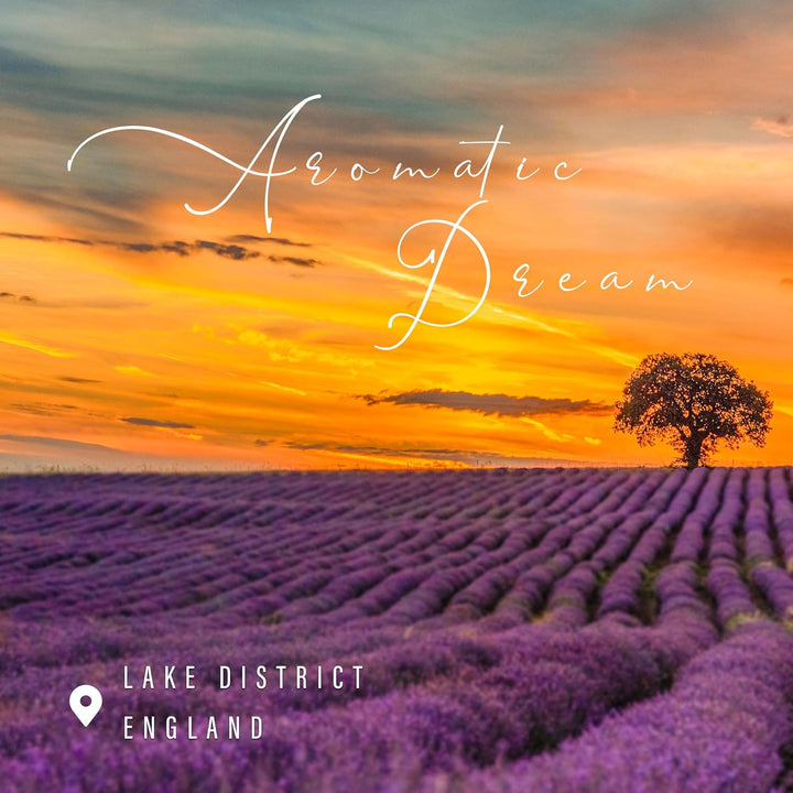 Sleep Candles Gifts for Women & Men – Lavender Scented Candles Gift Set for Anxiety, Lavender Promotes Sleep, Chamomile Relieves Stress, Relaxation/Birthday Gifts for Women