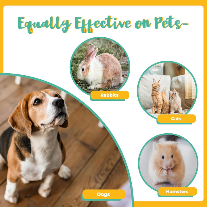 Professional 6-In-1 Nit & Lice Comb Kit | Micro Spiral, Precision & 2× Double-Sided Combs | Brush, Tracker & EVA Case | Reusable, Chemical-Free | for Kids, Adults, Pets (All Hair Types)