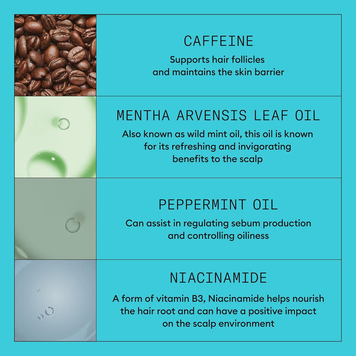 Nioxin System 3 - Hair Thickening System for Damaged Hair with Light Thinning - Biotin & Niacinamide - Shampoo, Conditioner, Serum