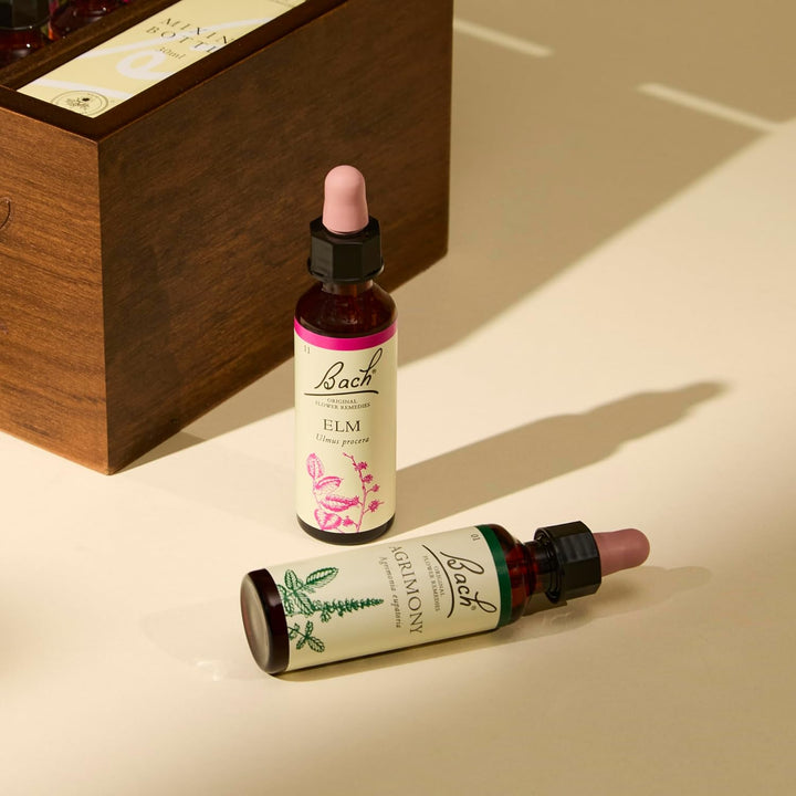 Bach Original Flower Remedies (Elm) Find Joy & Hope, Be Efficient, Emotional Wellness, Natural Flower Essence, 20Ml