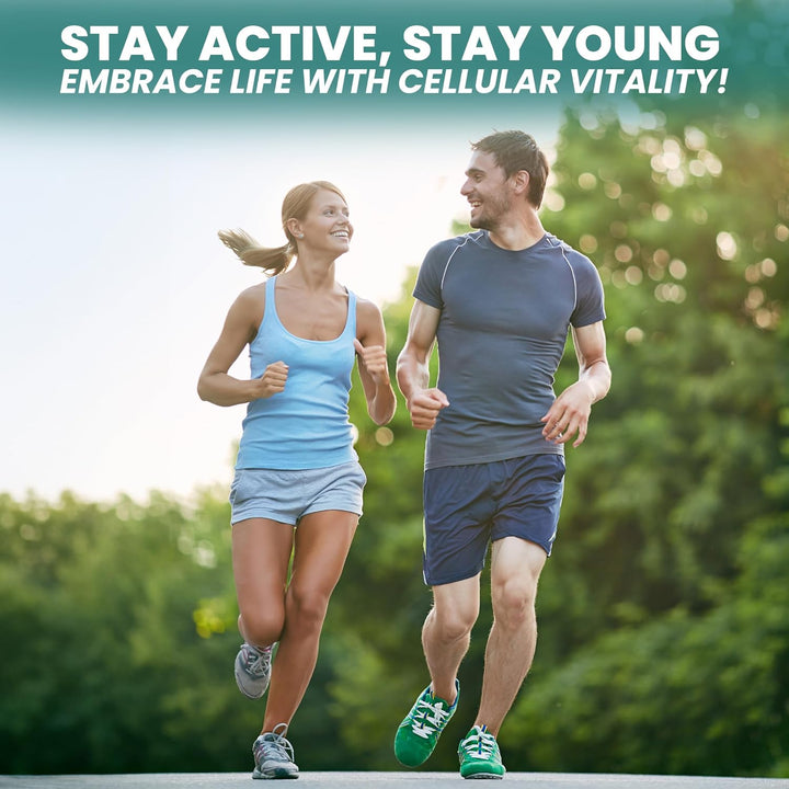 Vinco Resveratrol 1000Mg, 60 Capsules - 100% Pure Trans-Resveratrol Supplement for Cellular Health and Cardiovascular Wellness - Non-Gmo & Gluten Free - Made in the UK