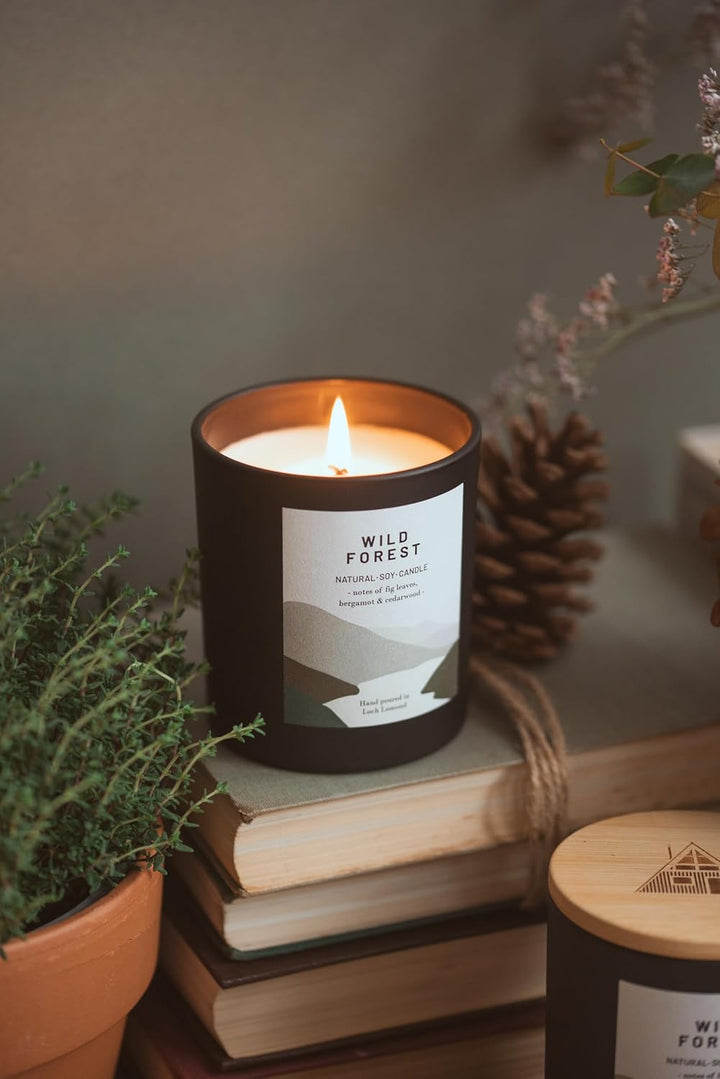 Wild Forest - Organic & Vegan, Luxury Scented Soy Wax Candles. Hand Poured in Loch Lomond, Scotland |  Limited (+8 Scent Options, X2 Sizes) 450G
